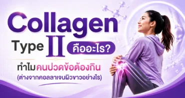 Collagen Type II คืออะไร? ทำไมคนปวดข้อต้องกิน (ต่างจากคอลลาเจนผิวขาวอย่างไร) — รูปที่ 1