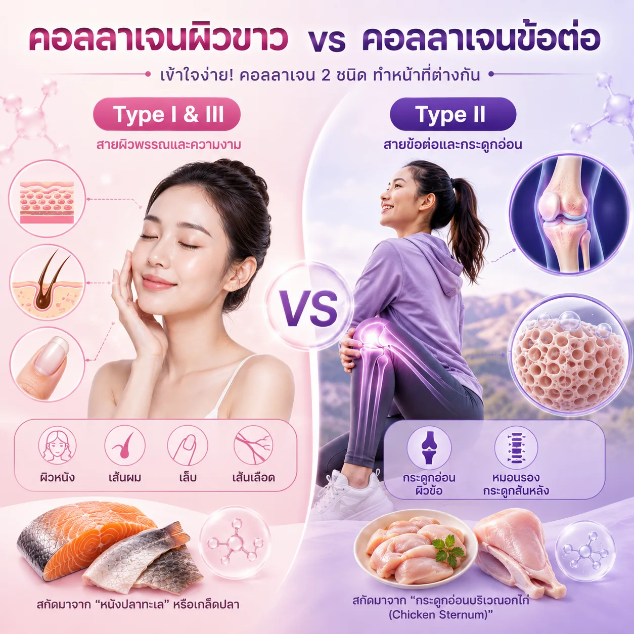 Collagen Type II คืออะไร? ทำไมคนปวดข้อต้องกิน (ต่างจากคอลลาเจนผิวขาวอย่างไร) — รูปที่ 2