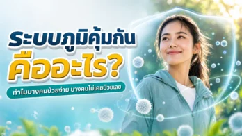 ระบบภูมิคุ้มกัน คืออะไร? ทำไมบางคนป่วยง่าย บางคนไม่เคยป่วยเลย — รูปที่ 1